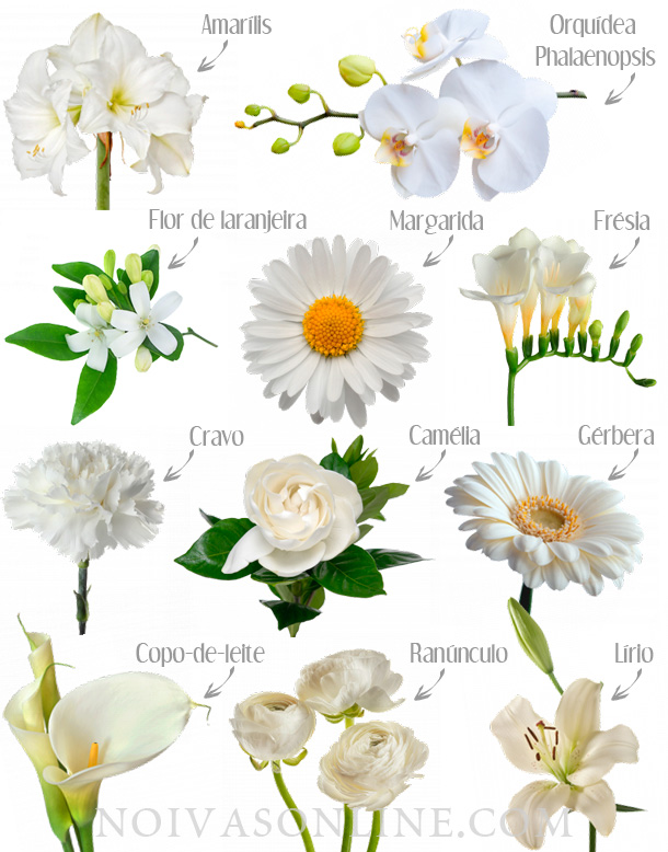 Flores brancas para casamento