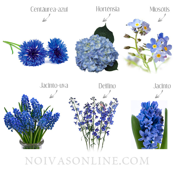 Flores naturalmente azuis para decoração de casamento